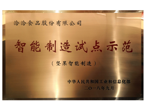 智能(néng)製(zhi)造(zao)試點示範